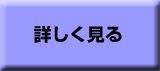 �ڂ�������
