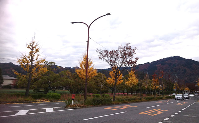 京都精華大学バス停到着