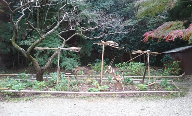 巨大な竹とんぼ